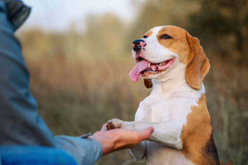 Services complémentaires